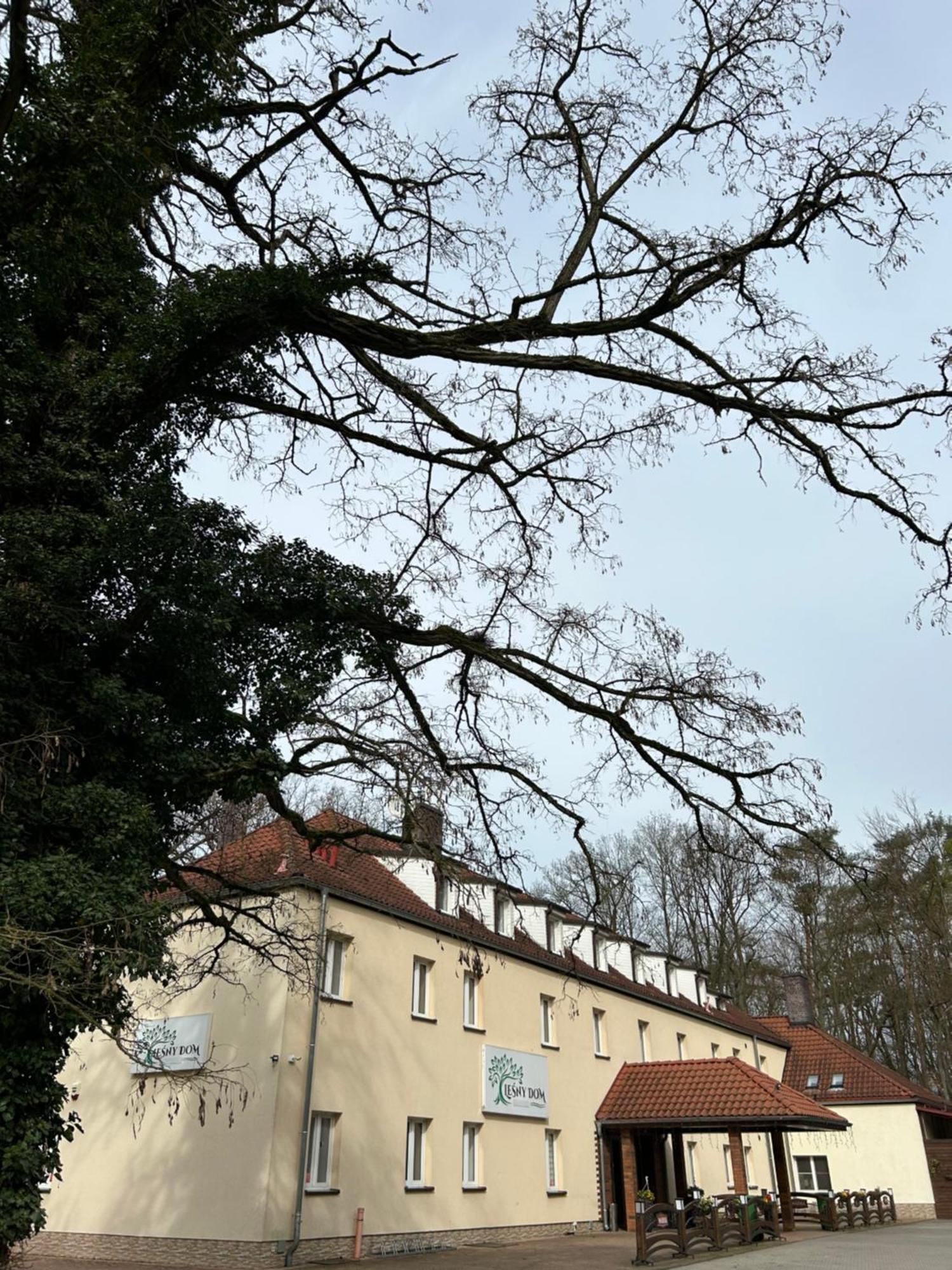 Lesny Dom Bed & Breakfast