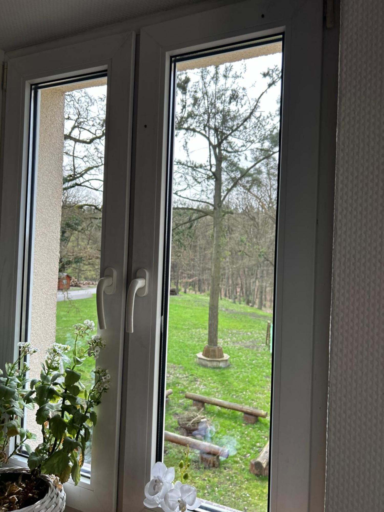 Lesny Dom Bed & Breakfast